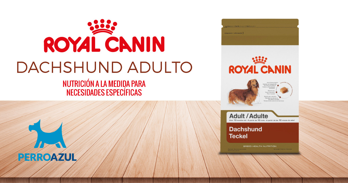 Royal Canin Dachshund Puppy Günstig Bestellen